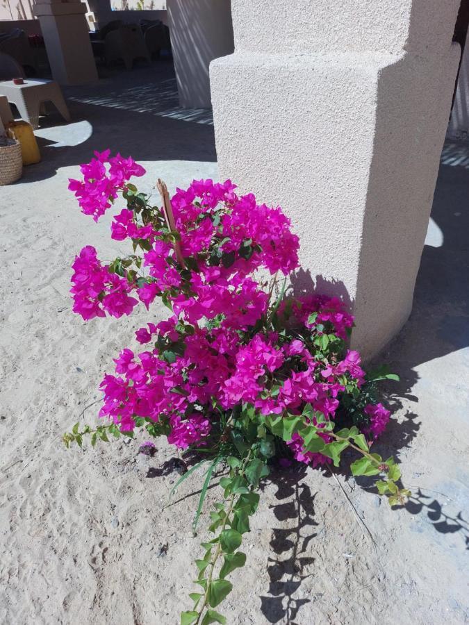 Hayaat Siwa Hot Spring Hotell Siwa Oasis Eksteriør bilde