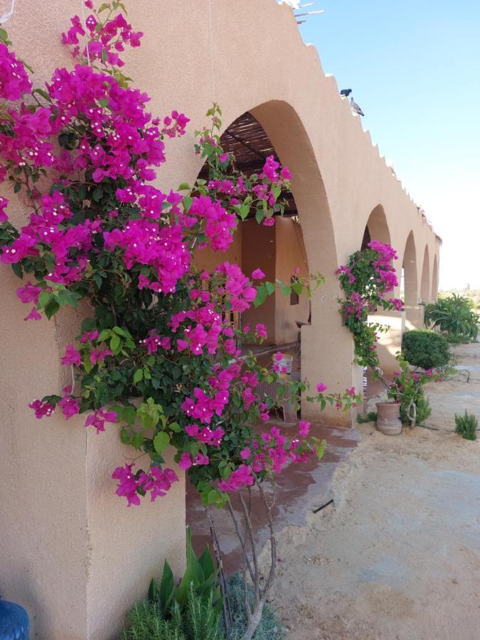 Hayaat Siwa Hot Spring Hotell Siwa Oasis Eksteriør bilde