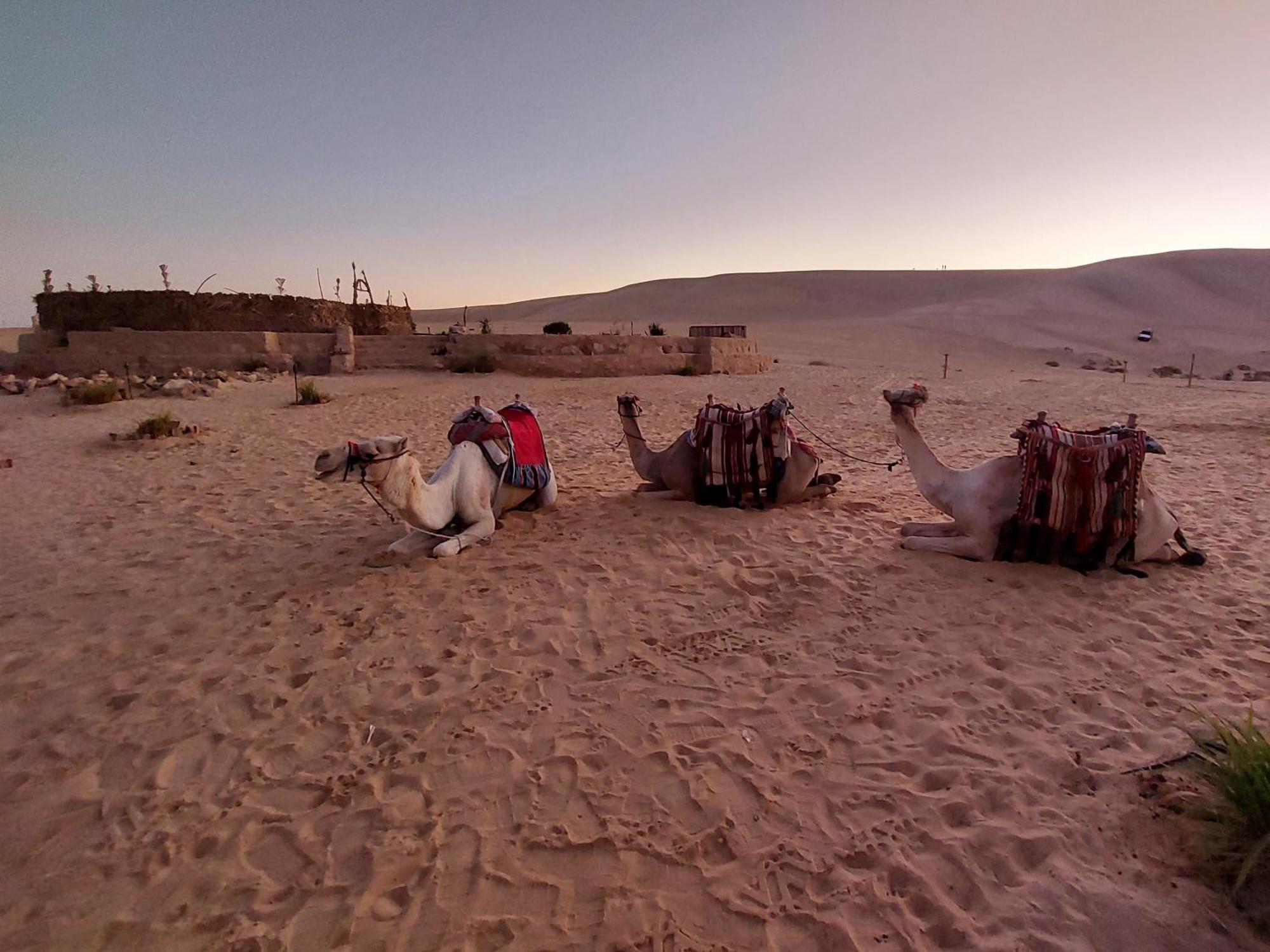 Hayaat Siwa Hot Spring Hotell Siwa Oasis Eksteriør bilde